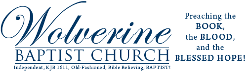Wolverine Baptist Church