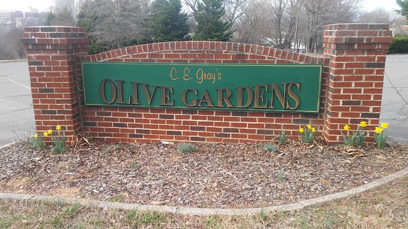 Mt Olive Baptist Church