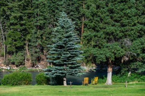 northlife baptist church