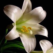 St. James Episcopal Church