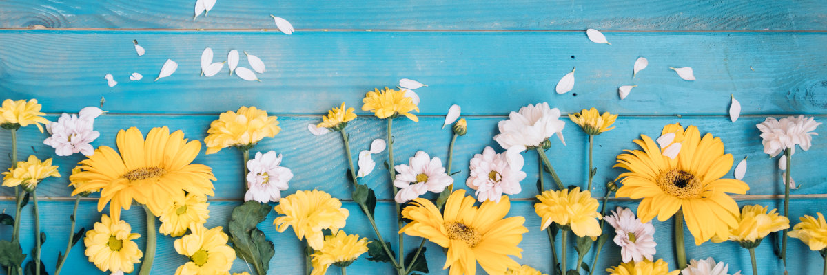 Swansea United Methodist Church