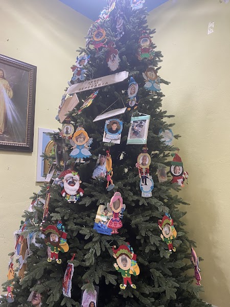 Diocese of Springfield