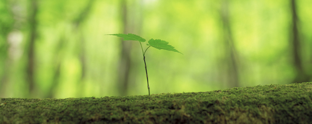 Our Redeemer Lutheran Church