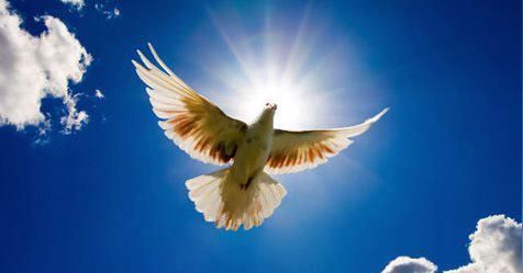 Shalom Assembly of God