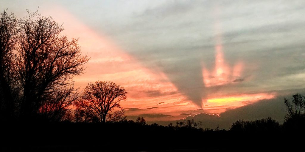 Community Bible Church