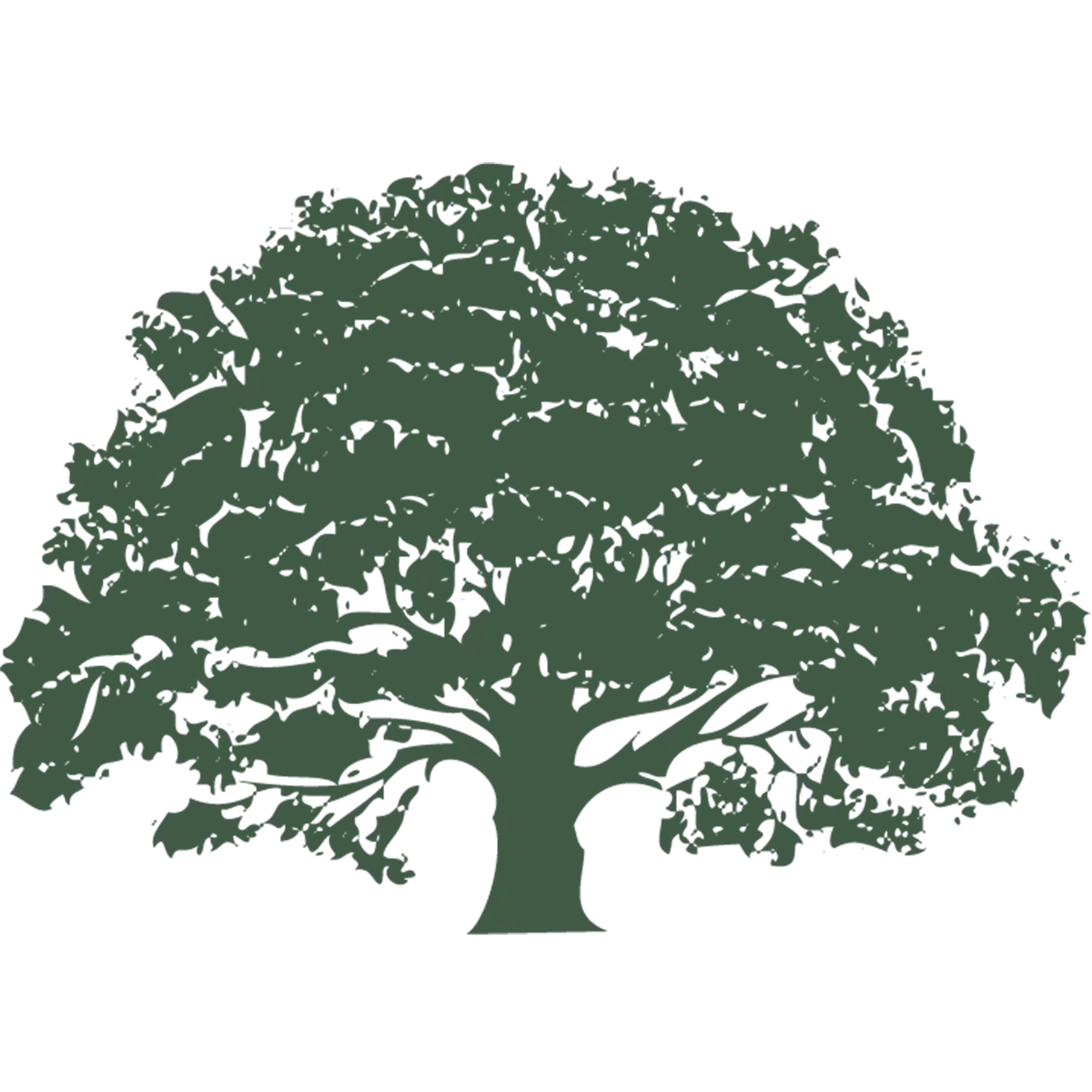 North Blue Earth Lutheran Church