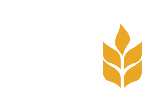Calvary Chapel of the Chino Valley