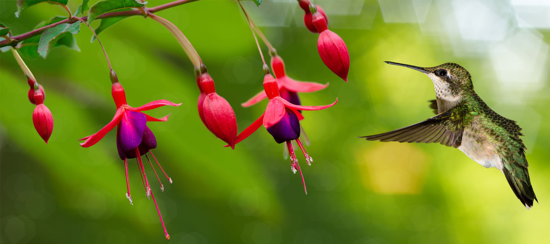 Our Lady of Grace Church