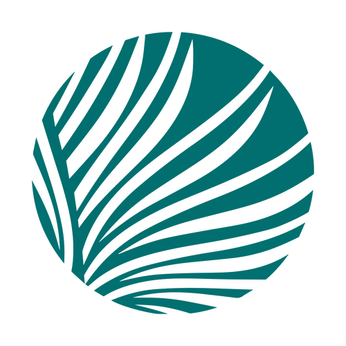 Palmetto Pointe Church