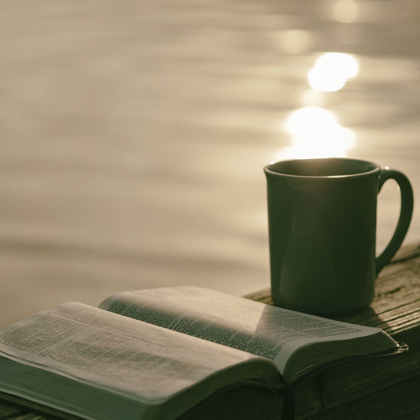 Grace Bible Fellowship Church