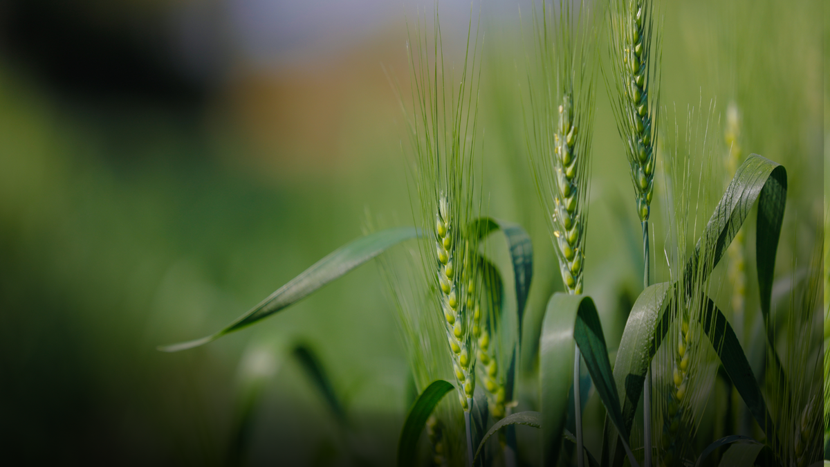 Glendale Baptist Church