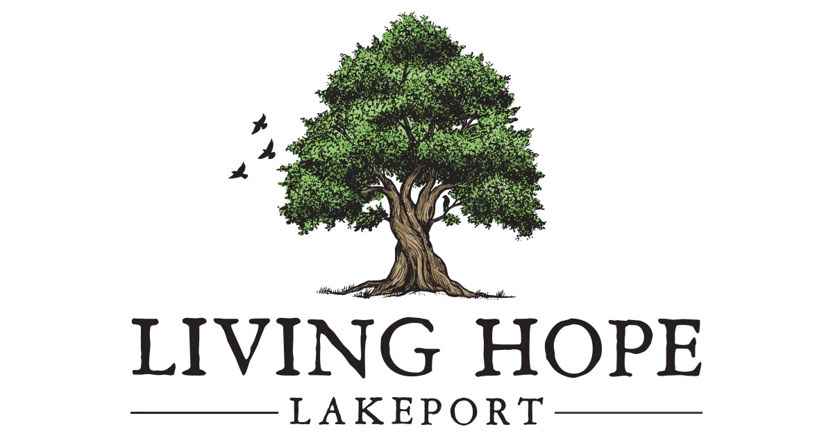 The Evangelical Baptist Church