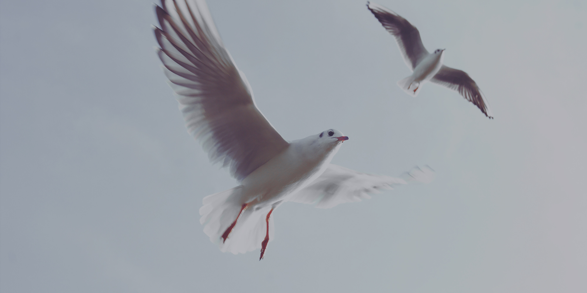 Trinity United Church of Christ