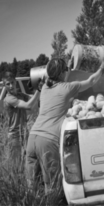 Palestine Lutheran Church