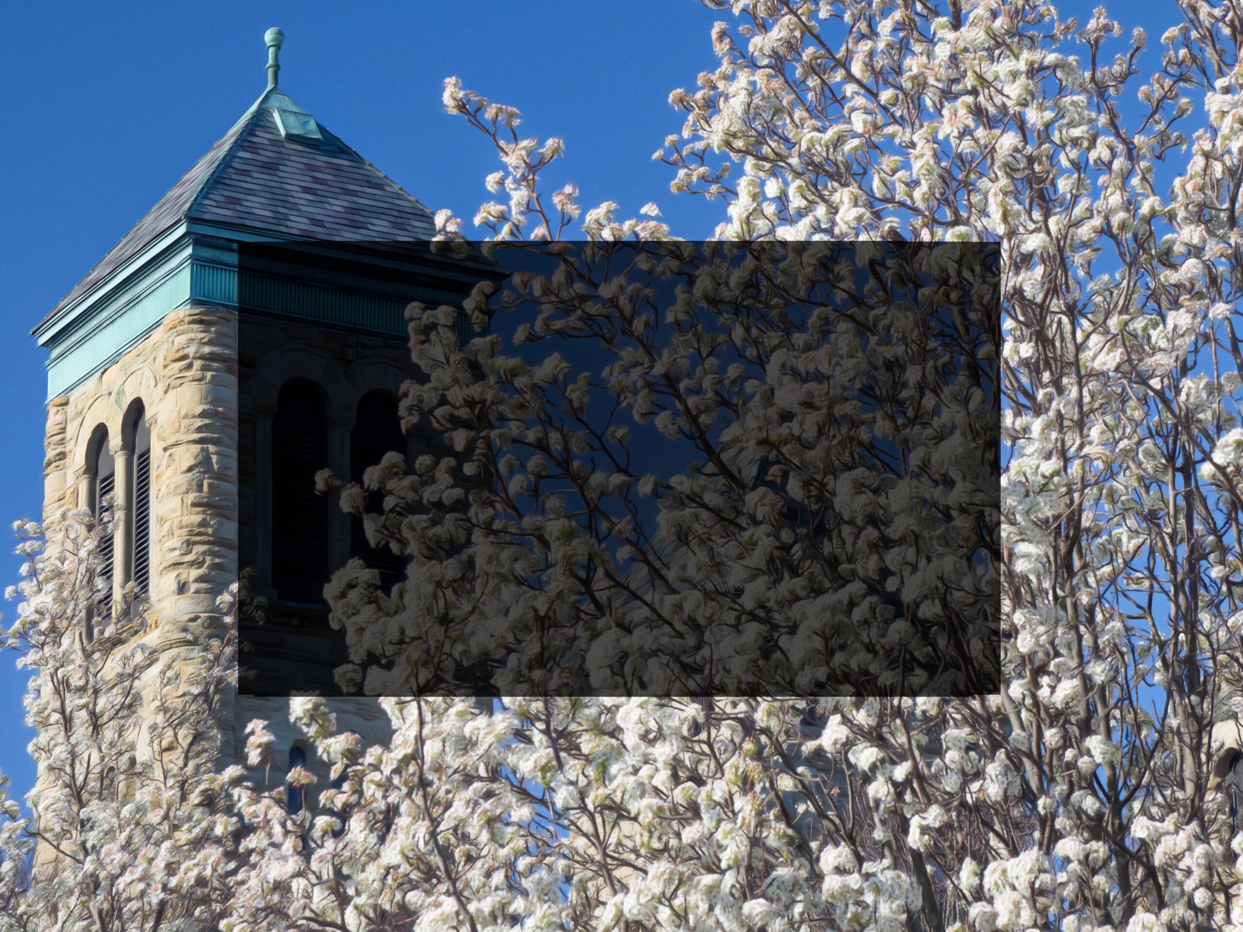 First Presbyterian Church