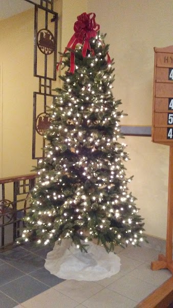 St Teresa of Kolkata Parish, St Pius X Church