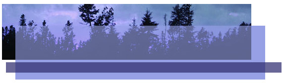 Church In the Valley