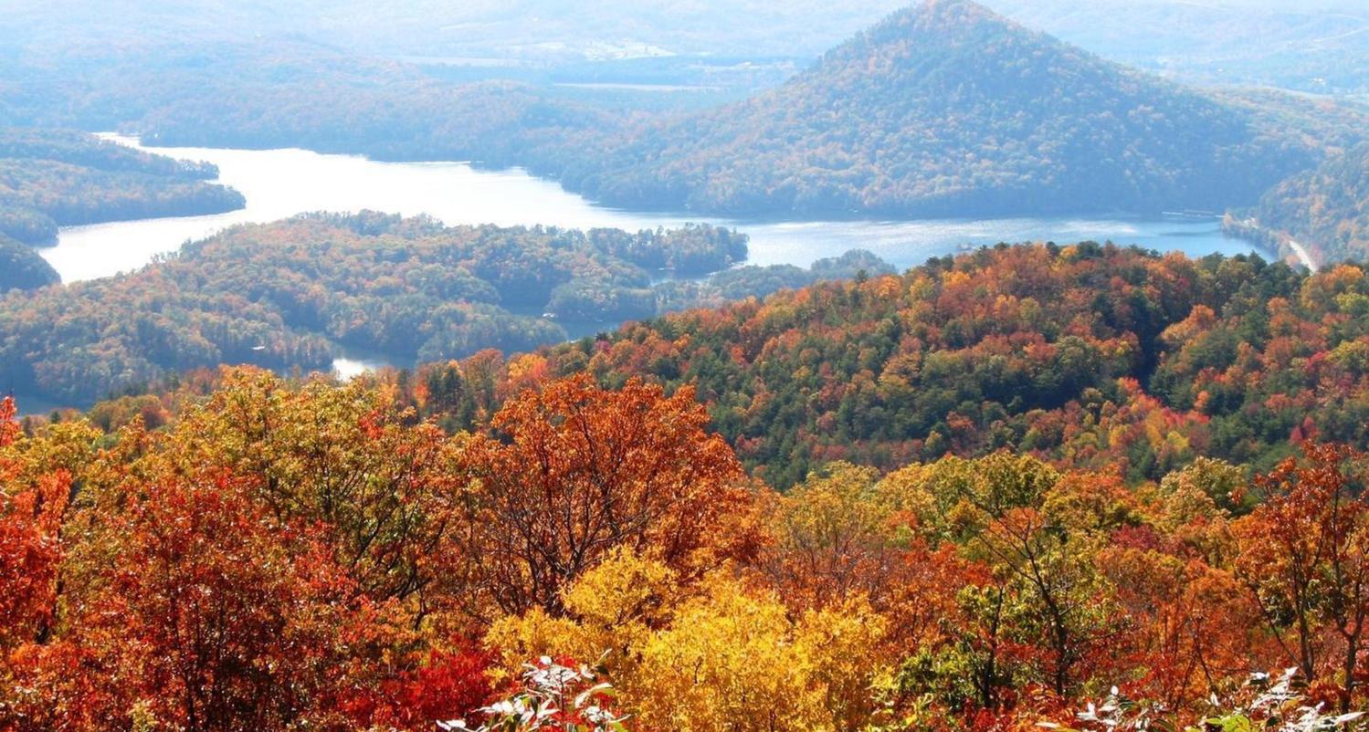 New Market First Baptist Church