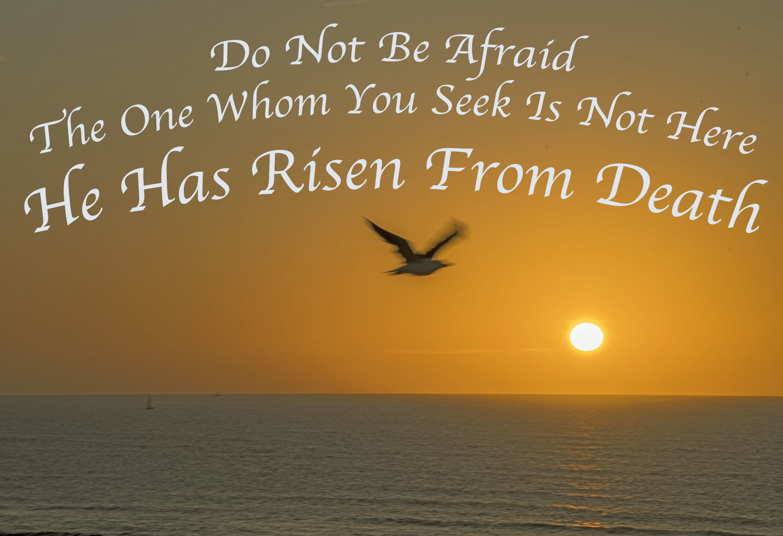 Reformed Church In Kinnelon