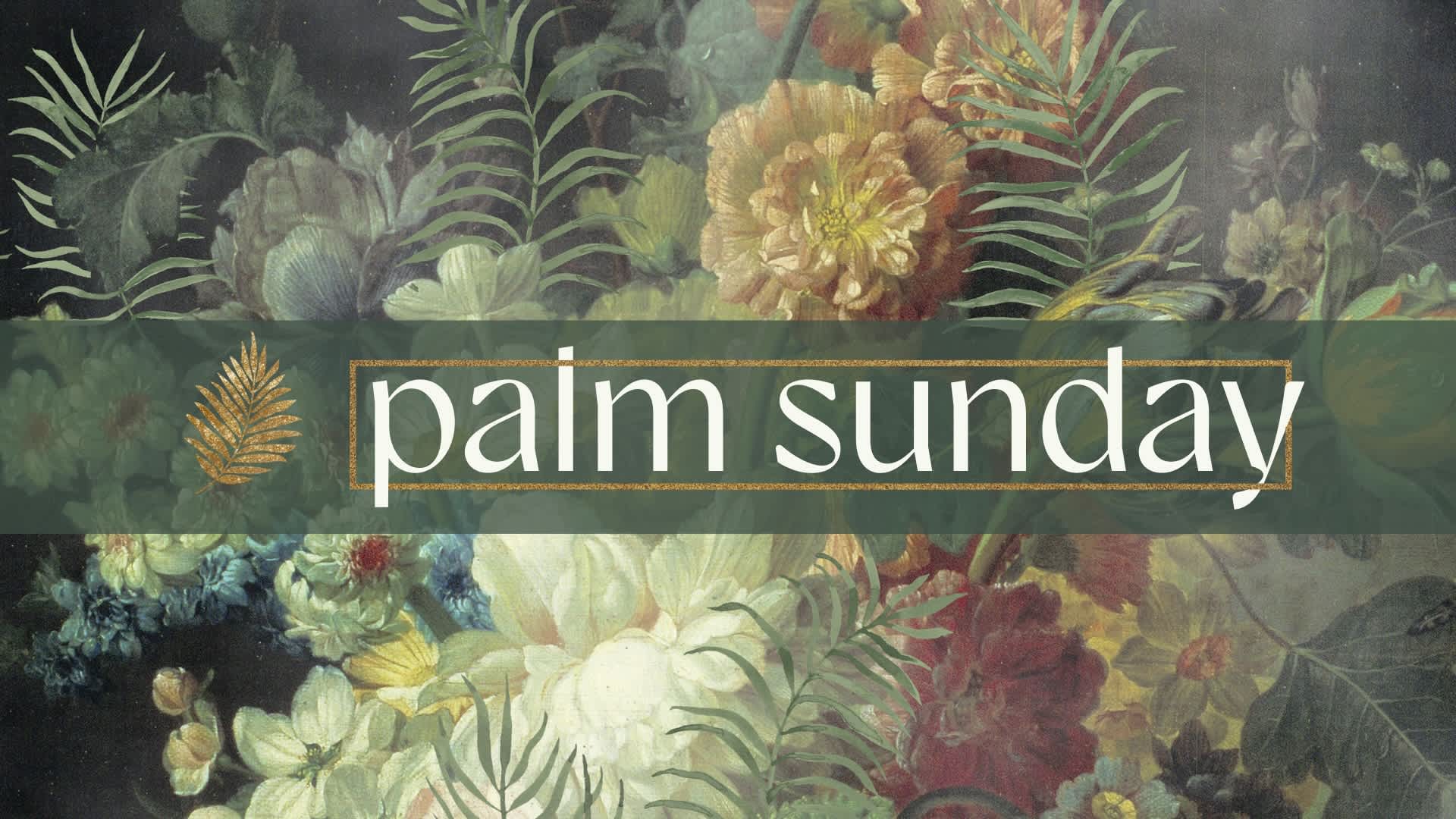 St Andrew's Presbyterian Church