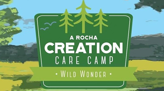 Wiley Heights Covenant Chruch