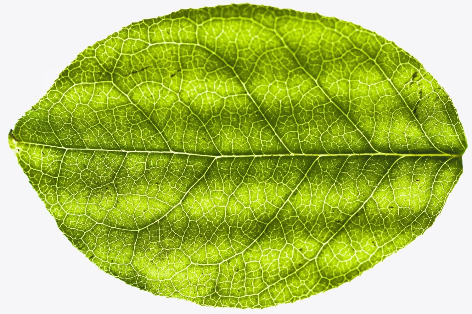 Emmanuel United Church of Christ