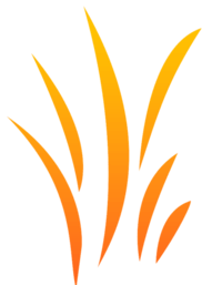 Harvest Church of God