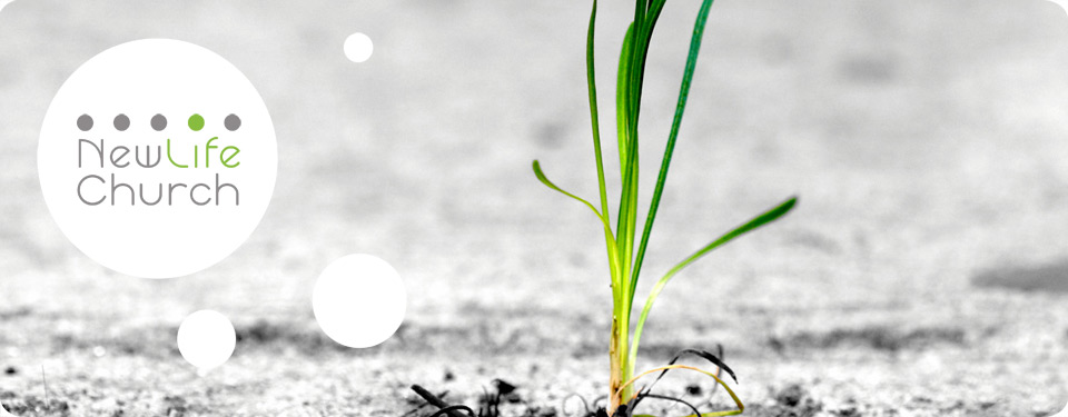 Newlife Church, Toronto