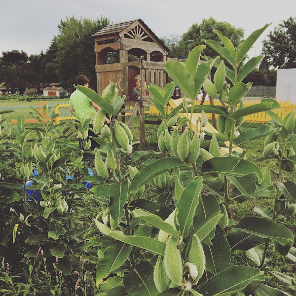 The University Church