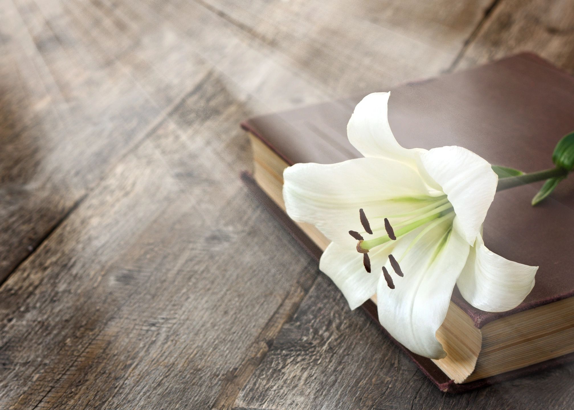 Immanuel Baptist Church