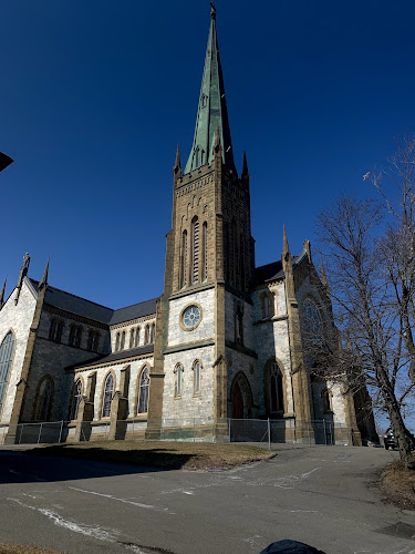 Cathedral of the Immaculate Conception