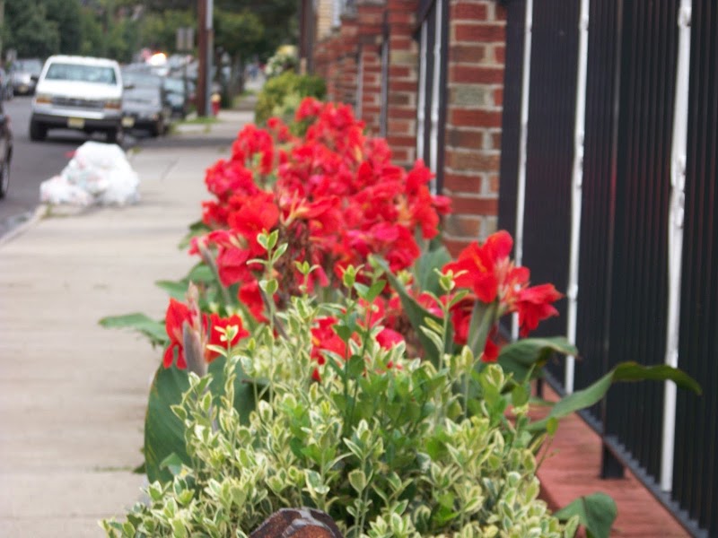 True Witness Church-Jesus Christ