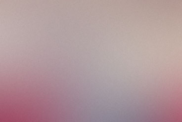 Holly Springs Bible Fellowship