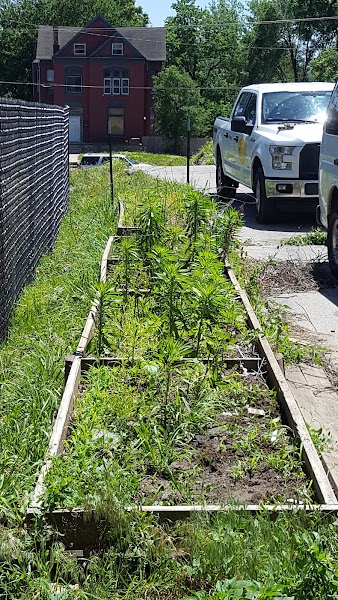 Grace United Community