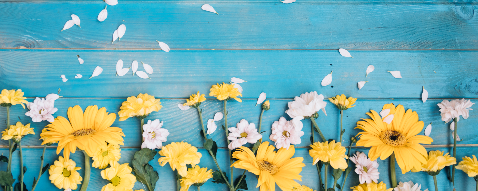 Shady Grove Missionary Baptist Church