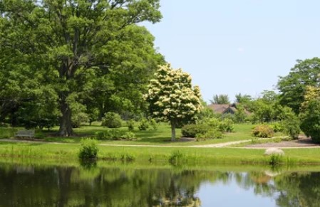 River Of Life Church