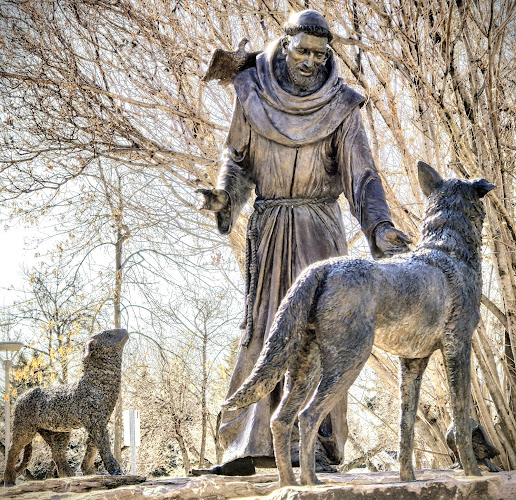 The Catholic Archdiocese of Edmonton