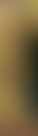 Salem Lutheran Church