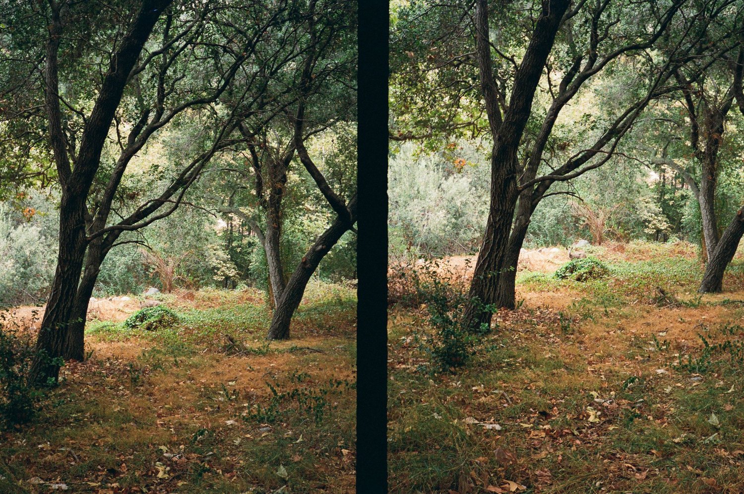 First Baptist Church Pasadena