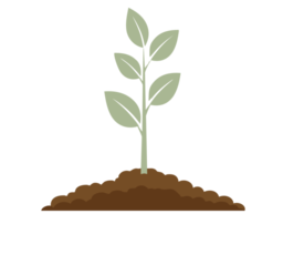 Wynnbrook Baptist Church