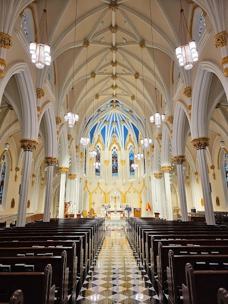The Basilica of Saint Mary of the Immaculate Conception