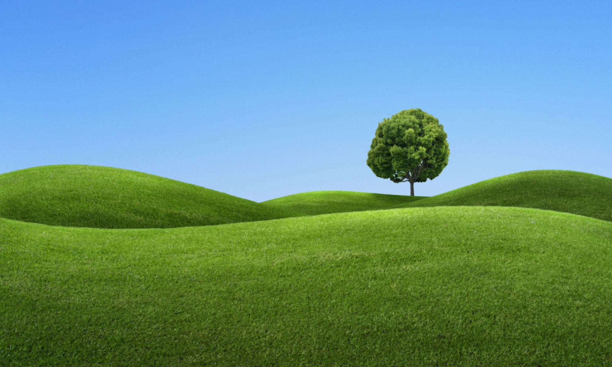 Hampton Heights Church