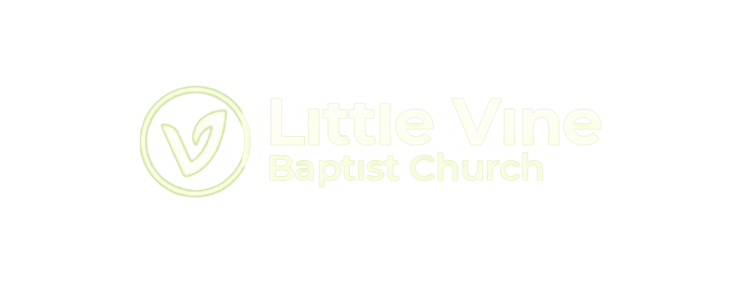 Little Vine Baptist Church