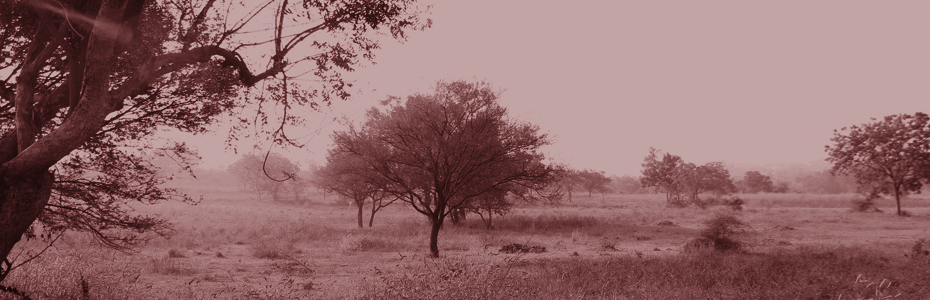 Nazarene Baptist Church