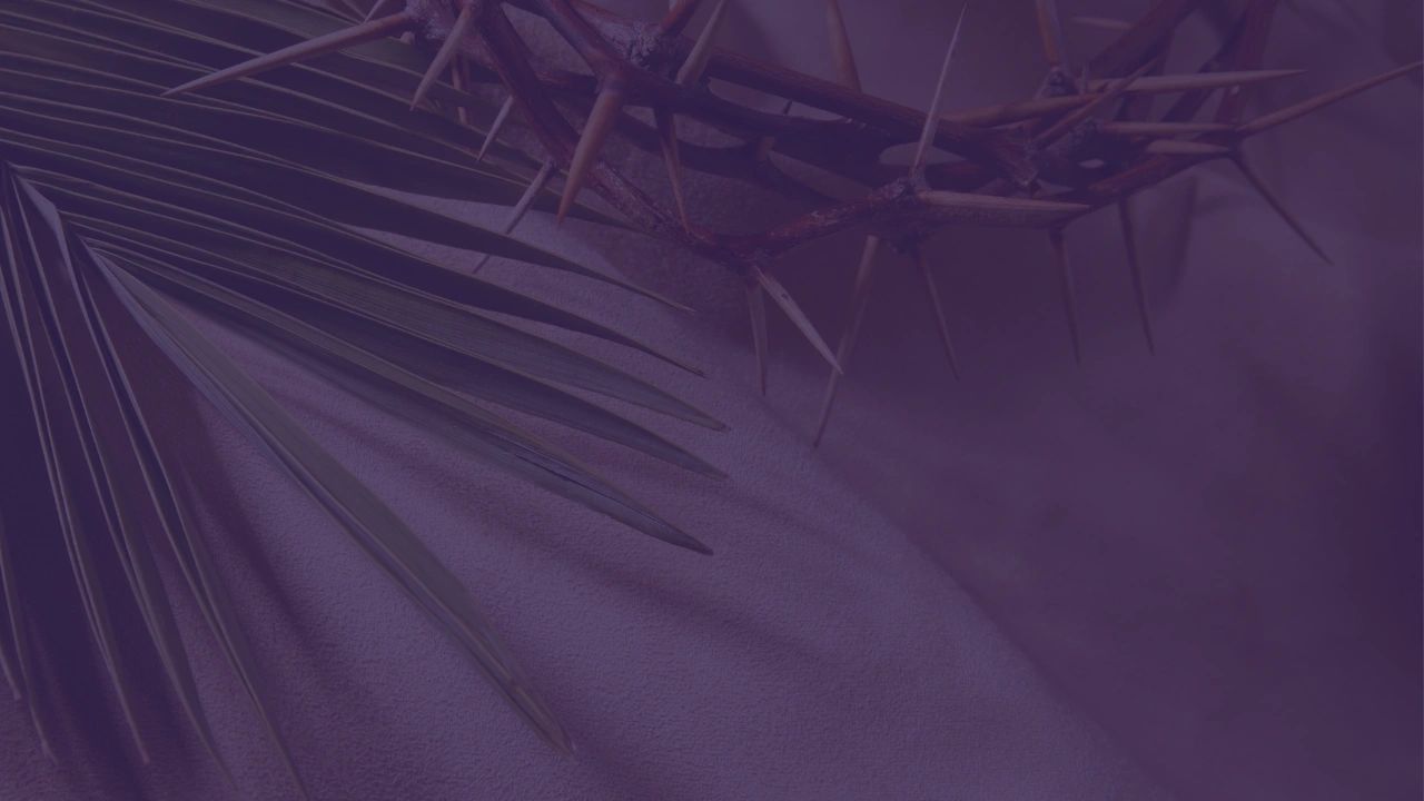 All Saints Episcopal Church