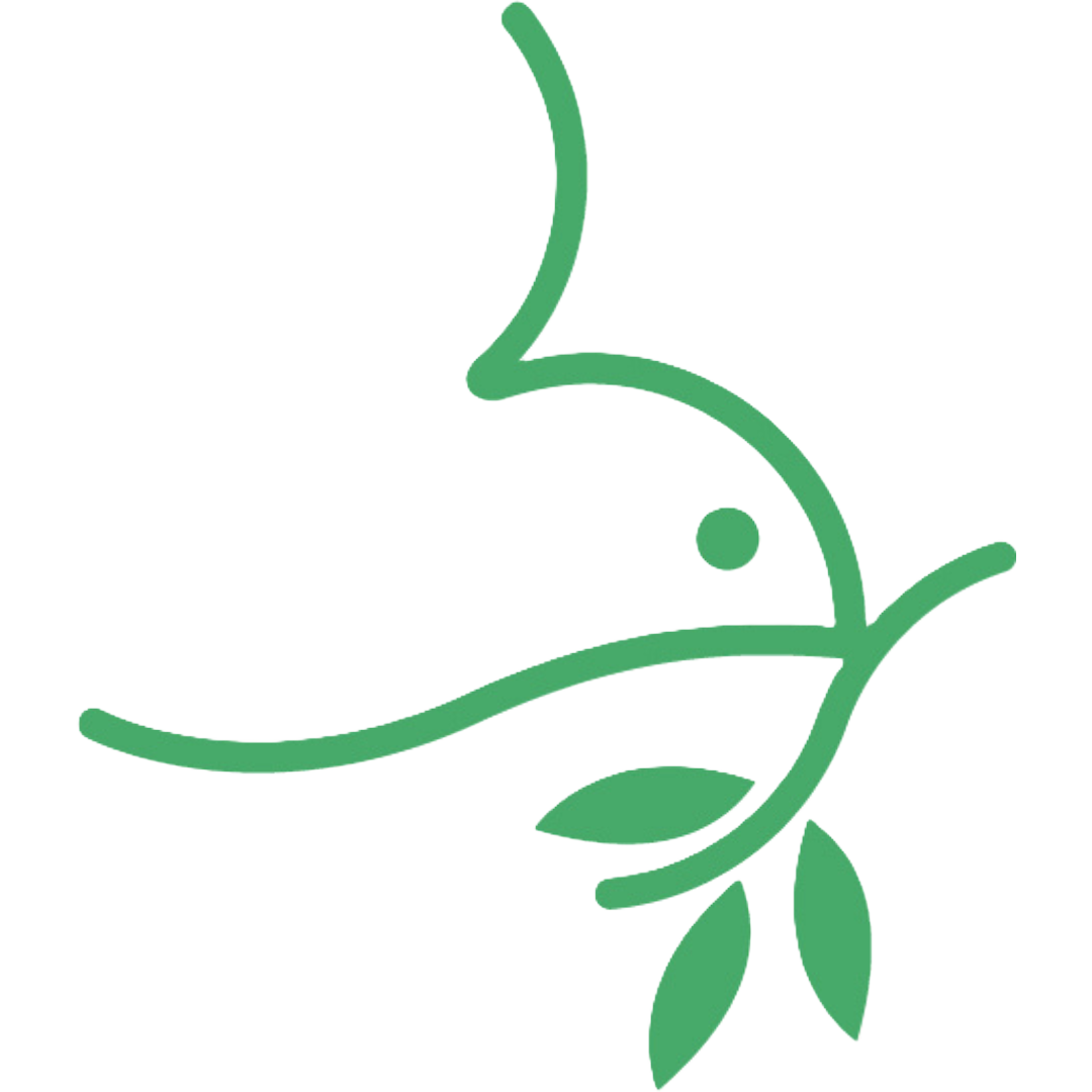 Emmanuel Mennonite Church