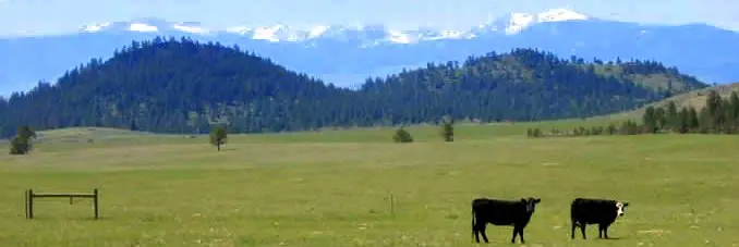 First Presbyterian Church