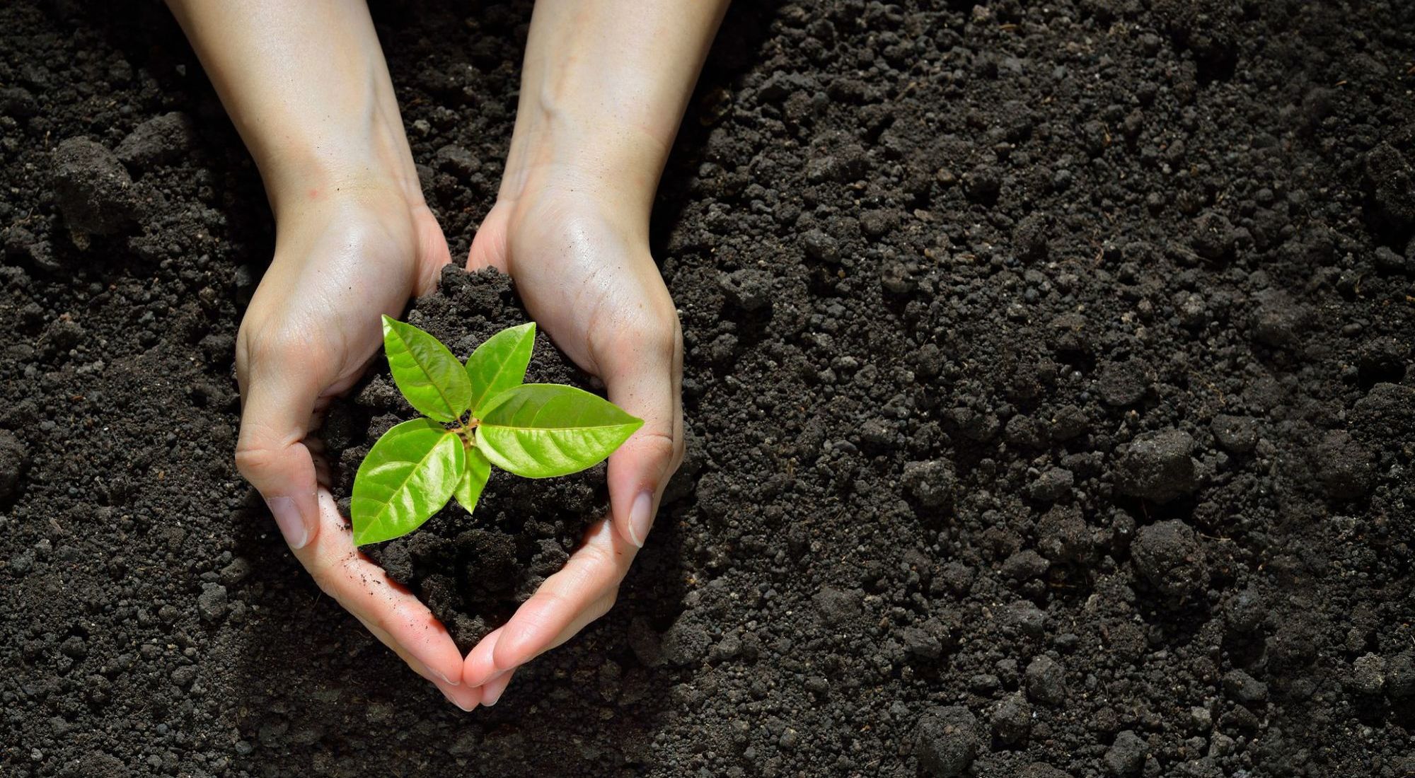 Beulah Baptist Church