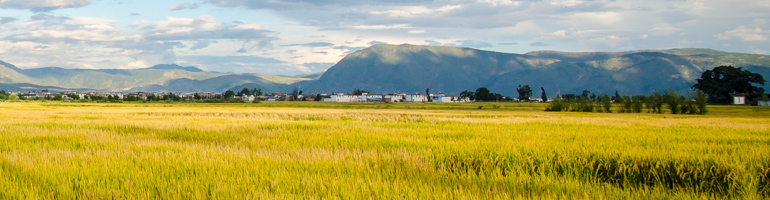 Shelley Baptist Church