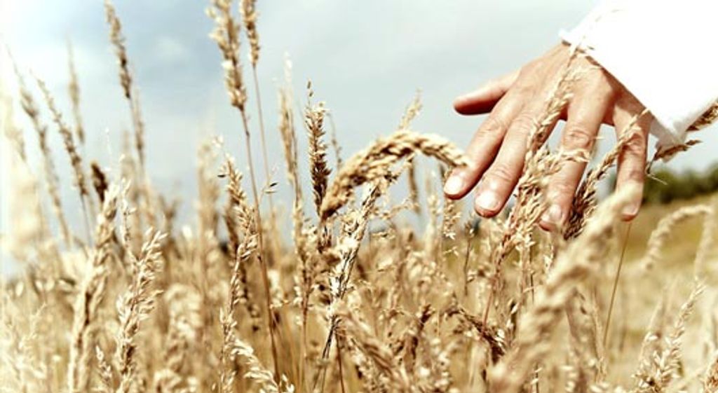 Guyton Christian Church